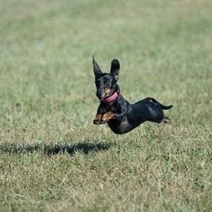 Meet your Posher, Virginia